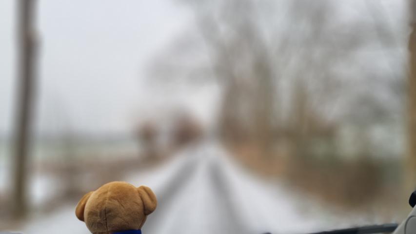 Wunschfahrt nach Kollmar